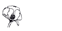 Sindacato Sociale di Base