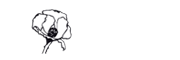 Sindacato Sociale di Base