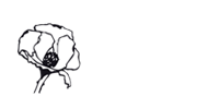 Sindacato Sociale di Base